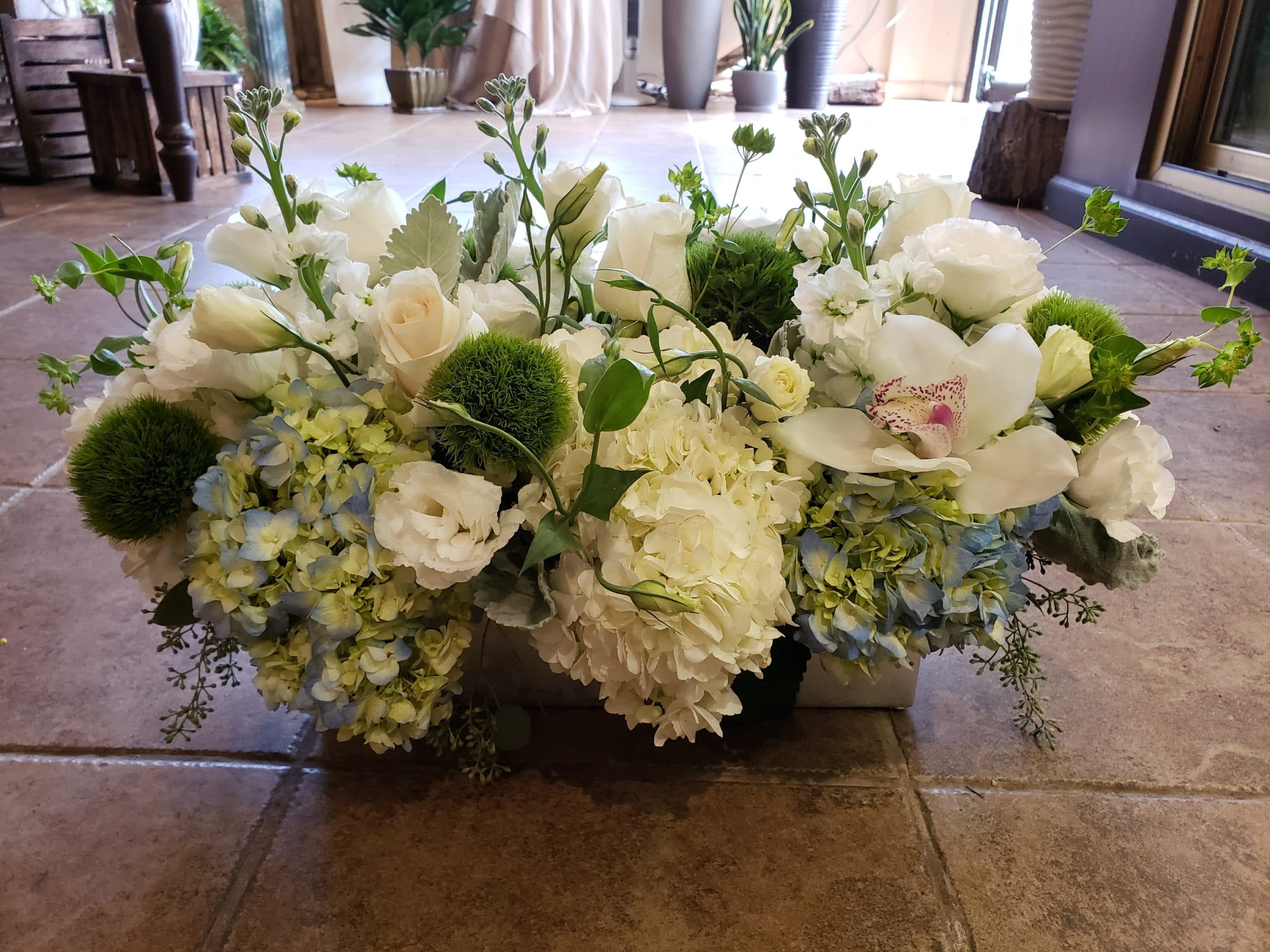Evergreen Horizon layered plant arrangement