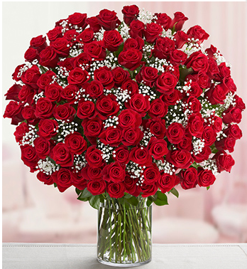 One hundred red roses arranged in a tall glass vase